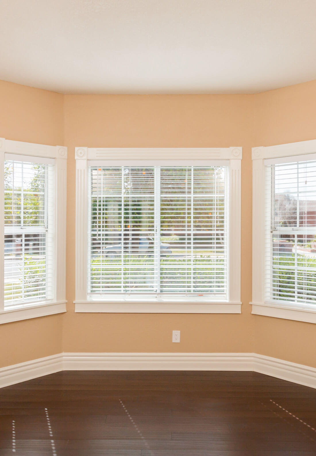 Bay Window Vacant Room